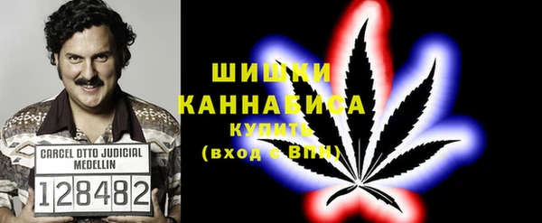 ешки Аркадак