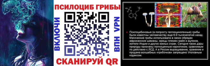 Псилоцибиновые грибы мицелий  Купить где  Оханск 
